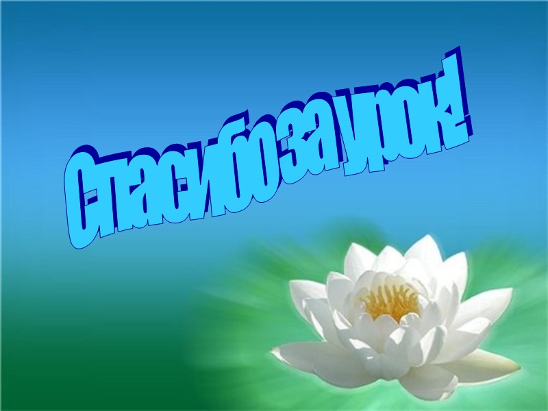 Спасибо за урок!